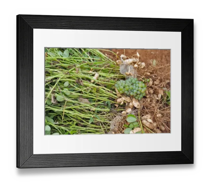 Framed Print : Asia, China Framed Print : Asia, China