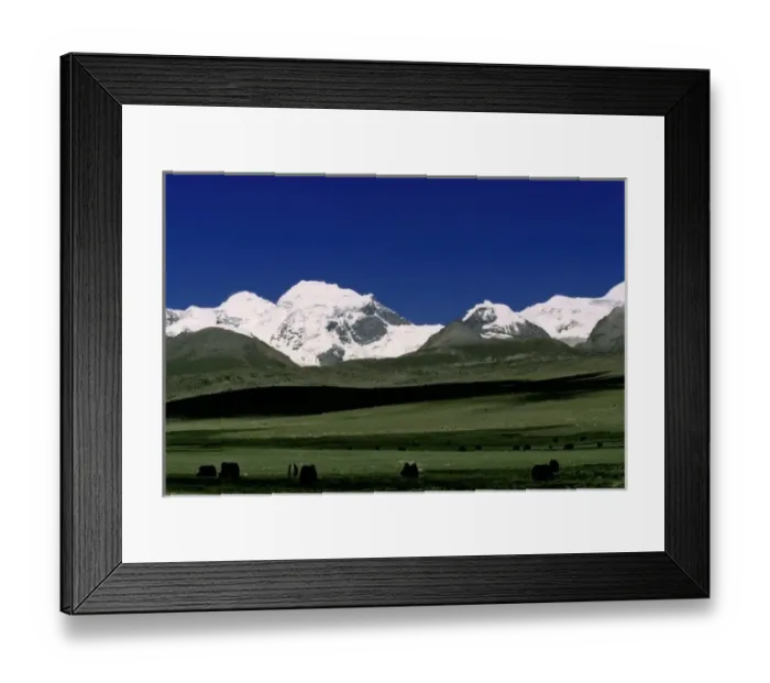 Framed Print : Grassland with Mt. Nian Qing, Tibet, China Framed Print : Grassland with Mt. Nian Qing, Tibet, China