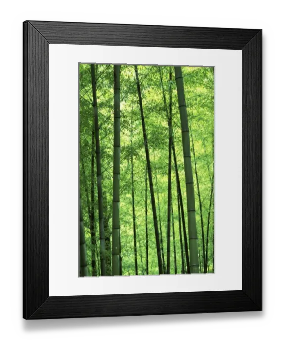Framed Print : Asia, China Framed Print : Asia, China