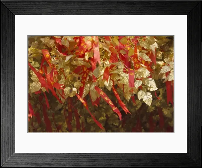 Framed Print : Good wish tree decorated with red ribbons and golden leaves, Nanjing, Jiangsu, China Framed Print : Good wish tree decorated with red ribbons and golden leaves, Nanjing, Jiangsu, China