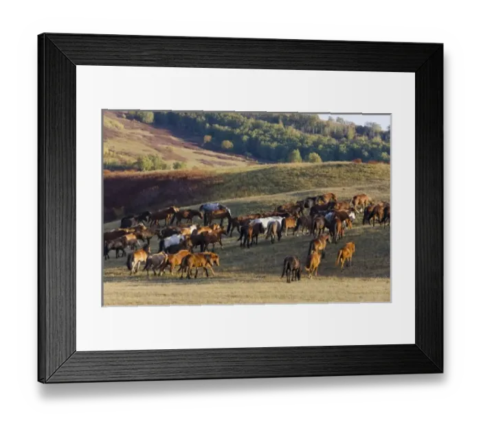 Framed Print : Asia, China Framed Print : Asia, China
