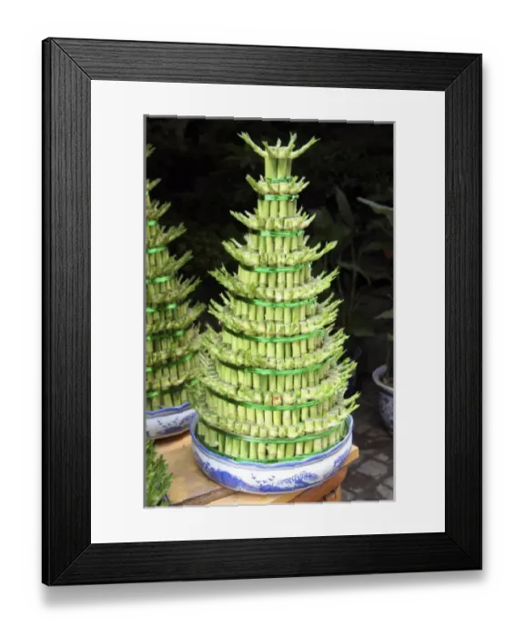 Framed Print : Asia, China Framed Print : Asia, China
