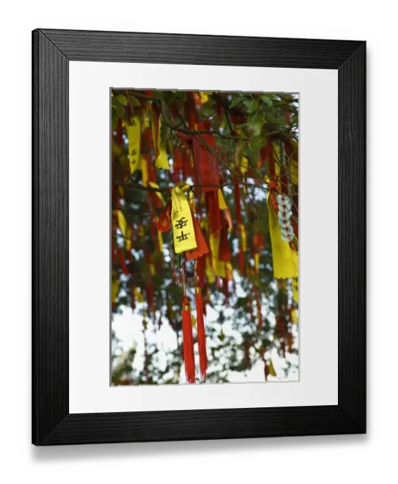 Framed Print : Asia, China