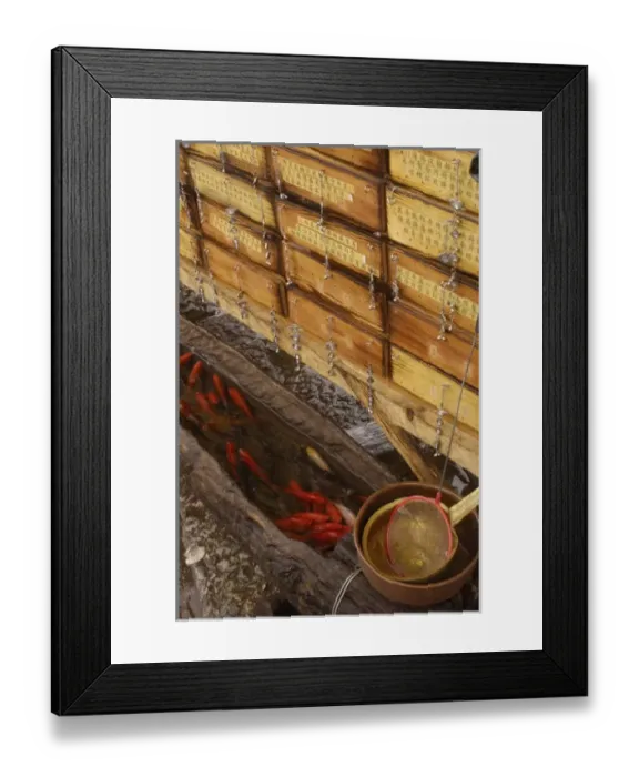 Framed Print : Asia, China