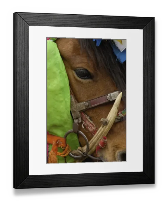 Framed Print : Asia, China