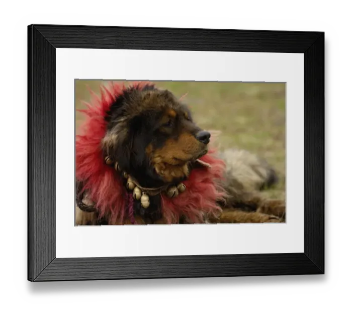 Framed Print : Asia, China Framed Print : Asia, China