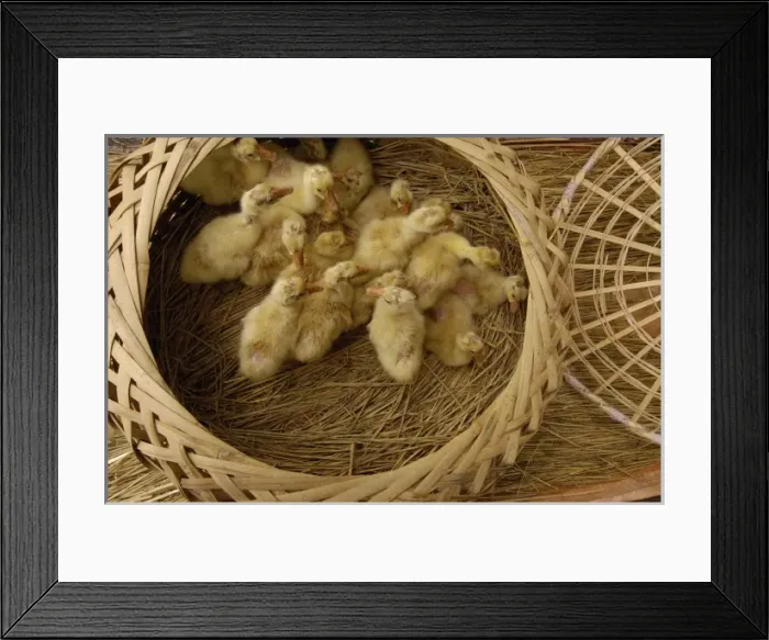 Framed Print : Asia, China Framed Print : Asia, China