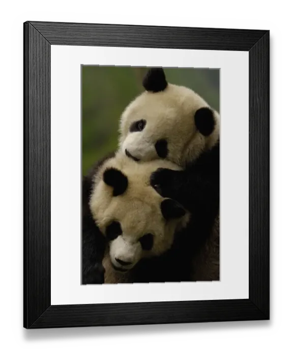 Framed Print : Asia, China