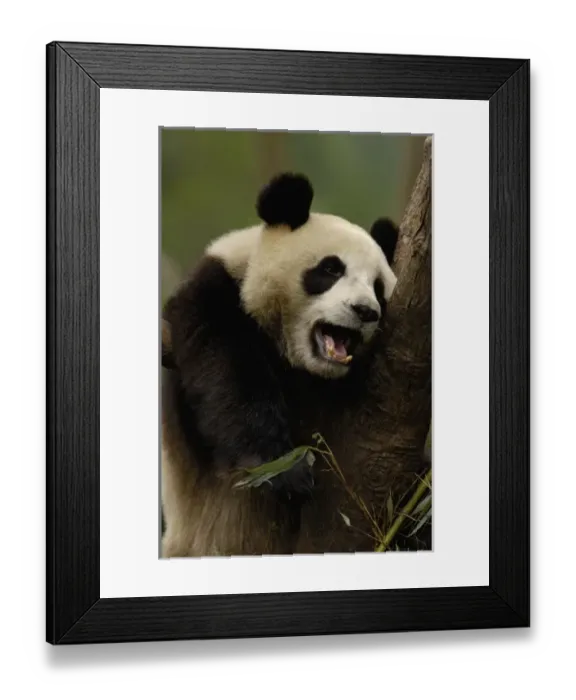 Framed Print : Asia, China Framed Print : Asia, China
