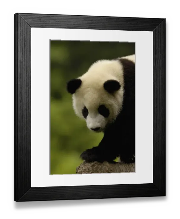 Framed Print : Asia, China Framed Print : Asia, China