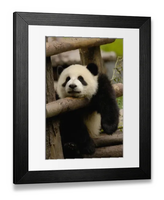 Framed Print : Asia, China Framed Print : Asia, China