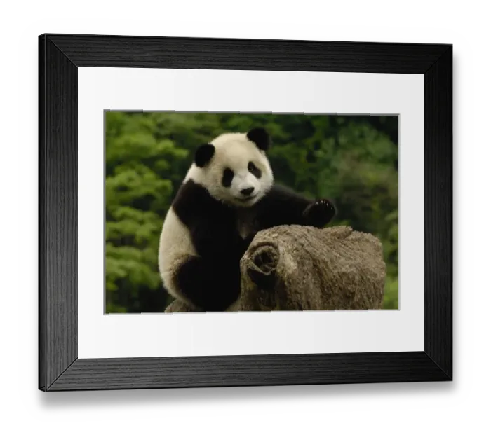 Framed Print : Asia, China Framed Print : Asia, China