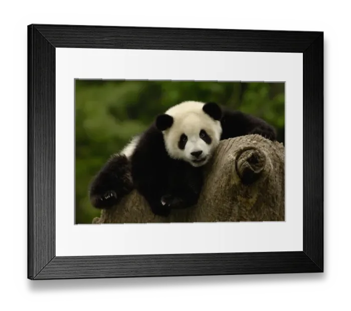 Framed Print : Asia, China Framed Print : Asia, China