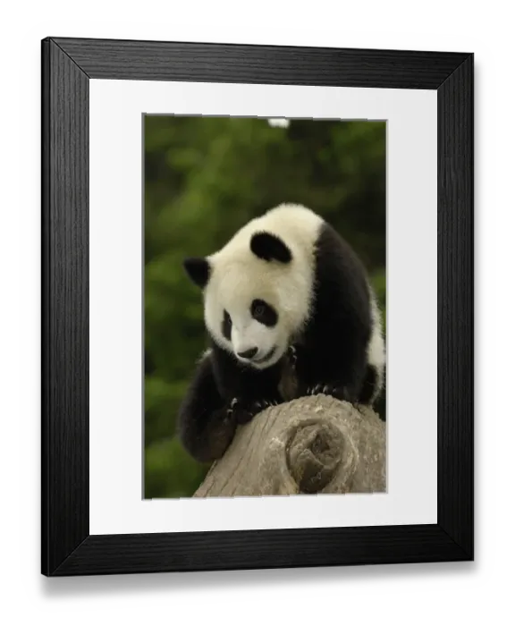 Framed Print : Asia, China Framed Print : Asia, China