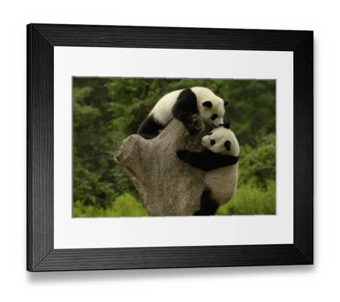Framed Print : Asia, China Framed Print : Asia, China