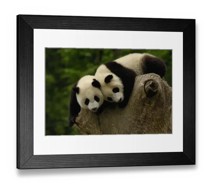 Framed Print : Asia, China Framed Print : Asia, China