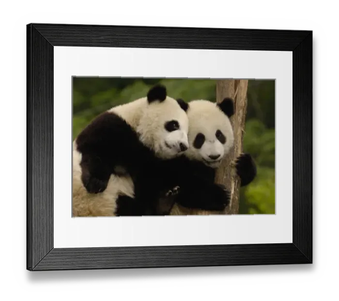 Framed Print : Asia, China Framed Print : Asia, China