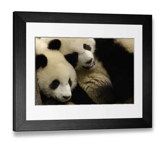Framed Print : Asia, China Framed Print : Asia, China