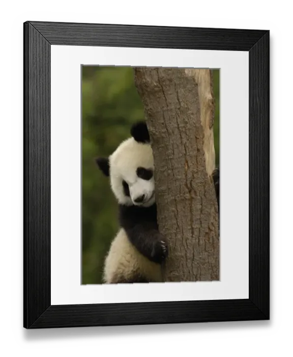 Framed Print : Asia, China