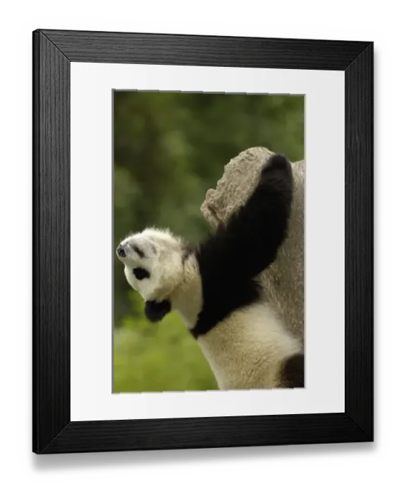 Framed Print : Asia, China