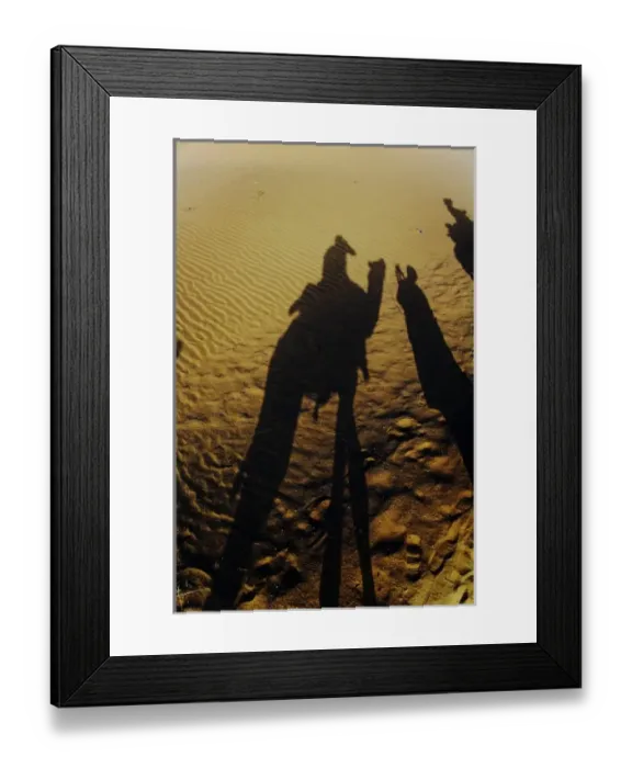 Framed Print : Asia, India Framed Print : Asia, India