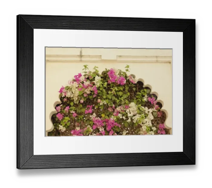 Framed Print : Asia, India Framed Print : Asia, India