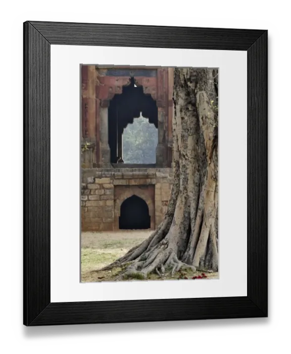 Framed Print : Old tree and Bara Gumbad Mosque, Delhi, India Framed Print : Old tree and Bara Gumbad Mosque, Delhi, India