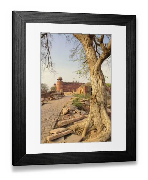 Framed Print : Asia, India Framed Print : Asia, India