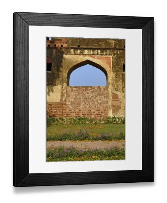 Framed Print : Asia, India