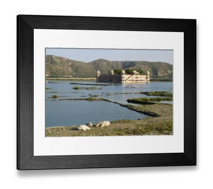 Framed Print : Beautiful peaceful Water Palace of Jal Mahal on the Man Sagar Lake in Jaipur Rajasthan Framed Print : Beautiful peaceful Water Palace of Jal Mahal on the Man Sagar Lake in Jaipur Rajasthan
