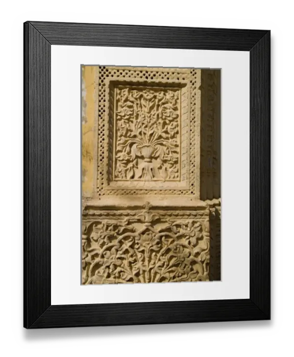 Framed Print : Asia, India Framed Print : Asia, India