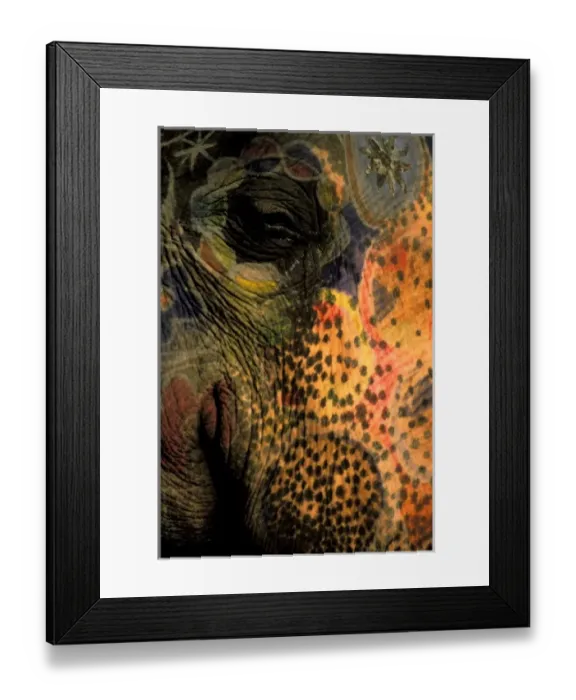 Framed Print : Asia, India, Jaipur. Painted Elephant