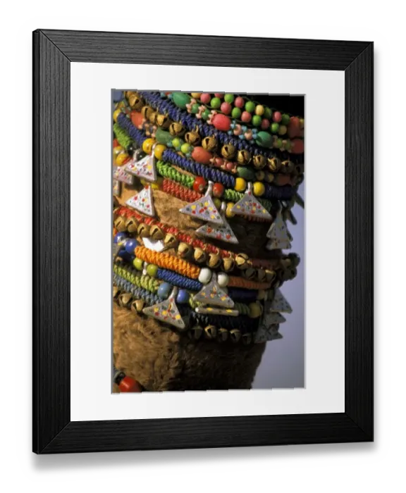 Framed Print : Asia, India, Pushkar. Camels necklaces, Pushkar Camel Festival Framed Print : Asia, India, Pushkar. Camels necklaces, Pushkar Camel Festival