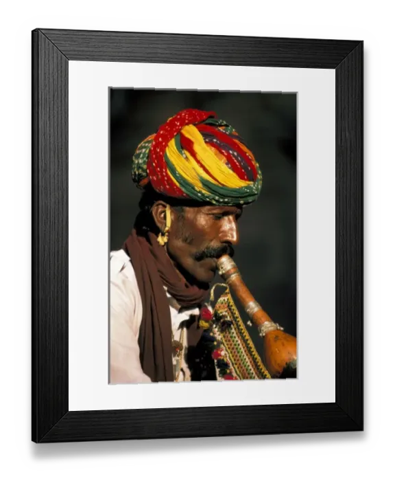 Framed Print : Asia, India, Jodhpur. Snake chamber and horn in Gardens of Mandor. MR Framed Print : Asia, India, Jodhpur. Snake chamber and horn in Gardens of Mandor. MR