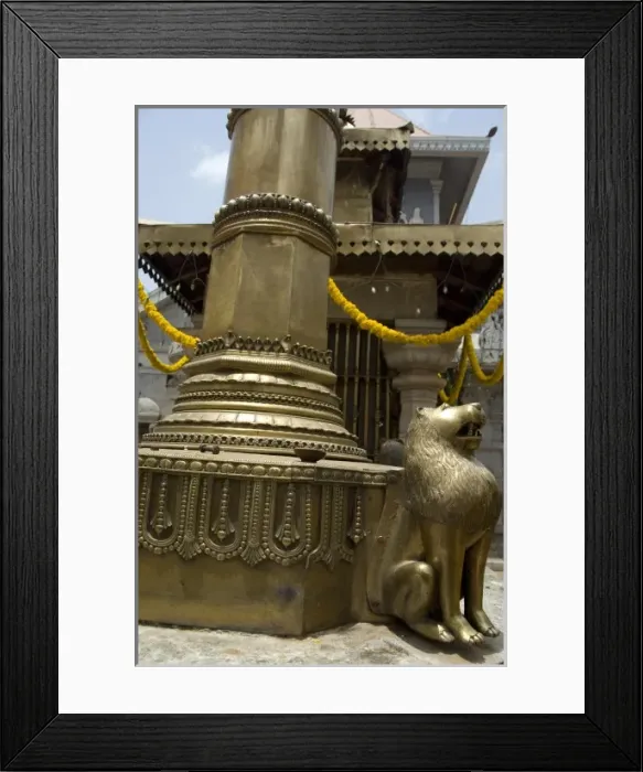 Framed Print : Asia, India Framed Print : Asia, India