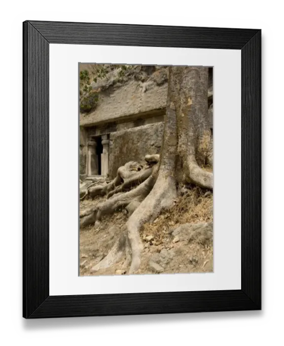 Framed Print : Asia, India Framed Print : Asia, India