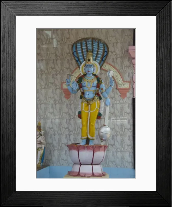 Framed Print : Asia, India Framed Print : Asia, India