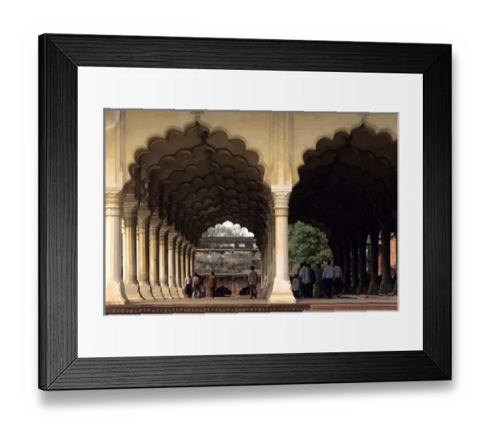 Framed Print : Asia, India