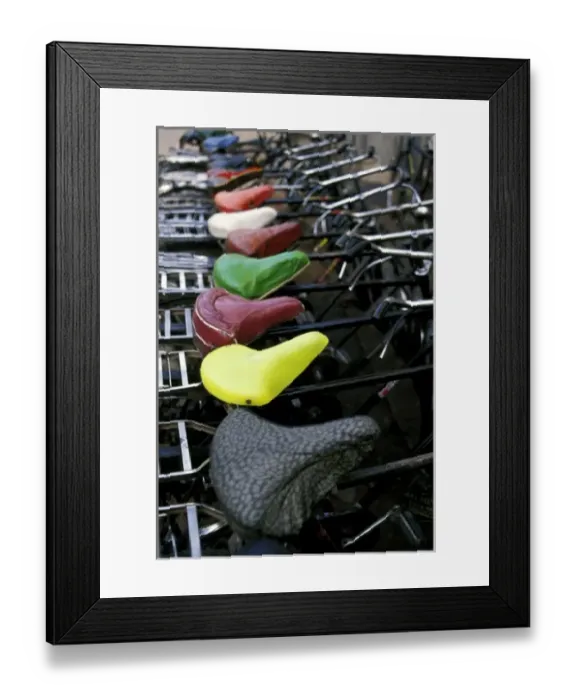 Framed Print : Asia, India