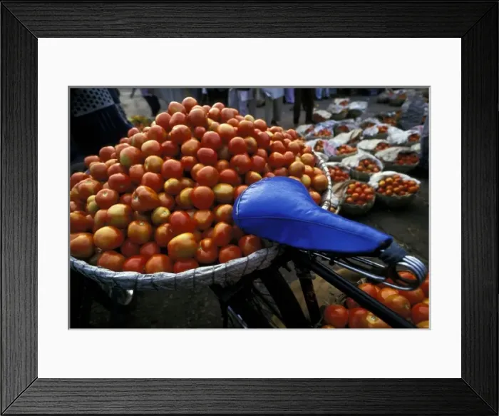 Framed Print : Asia, India, Bangalore. Bike with a basket of tomatoes Framed Print : Asia, India, Bangalore. Bike with a basket of tomatoes