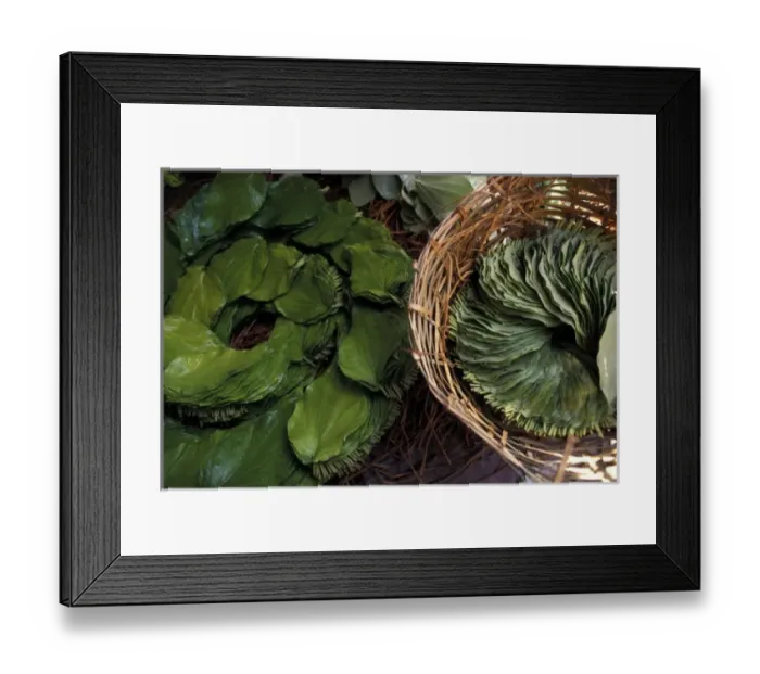 Framed Print : Asia, India