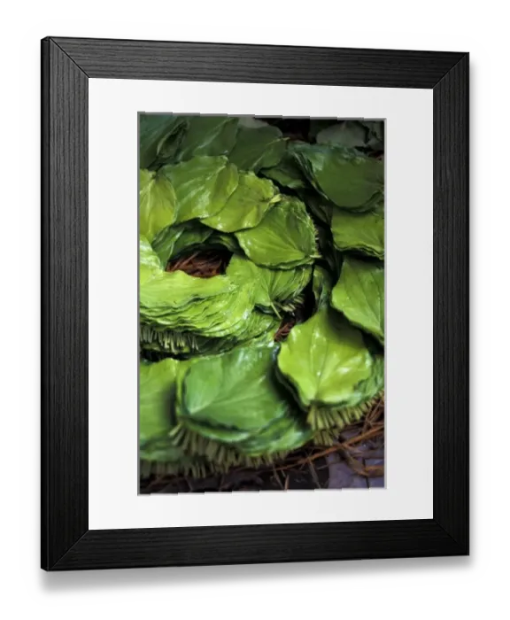 Framed Print : Asia, India