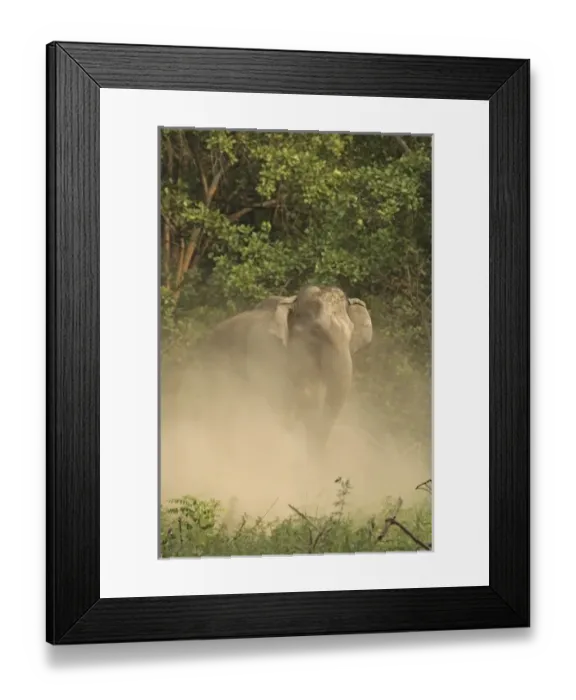 Framed Print : Asia, India Framed Print : Asia, India