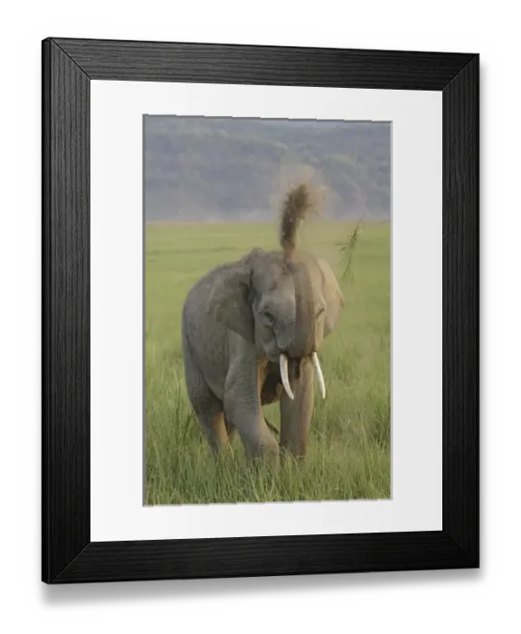 Framed Print : Asia, India