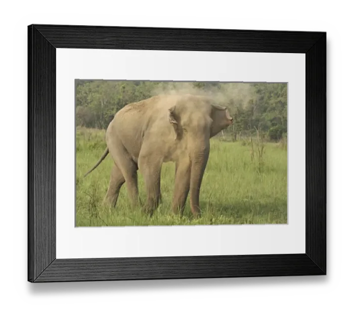 Framed Print : Asia, India Framed Print : Asia, India
