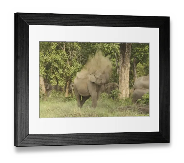 Framed Print : Asia, India Framed Print : Asia, India