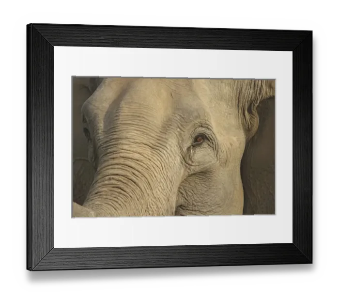 Framed Print : Asia, India