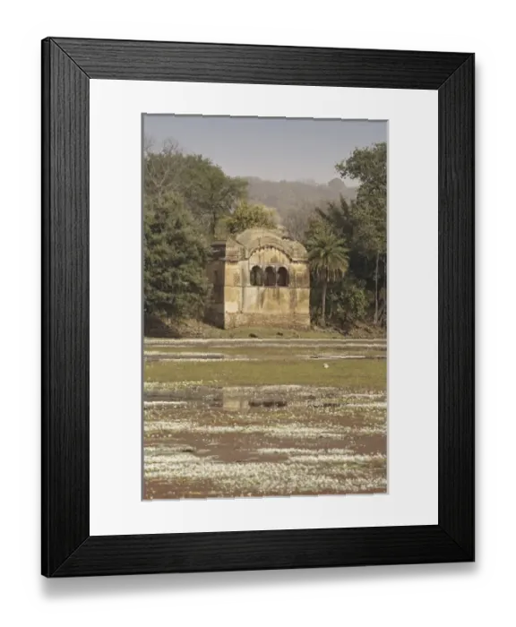 Framed Print : Asia, India