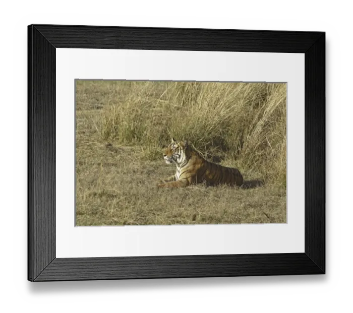 Framed Print : Asia, India Framed Print : Asia, India