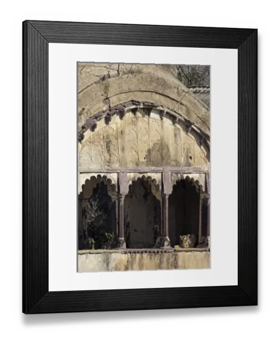 Framed Print : Asia, India